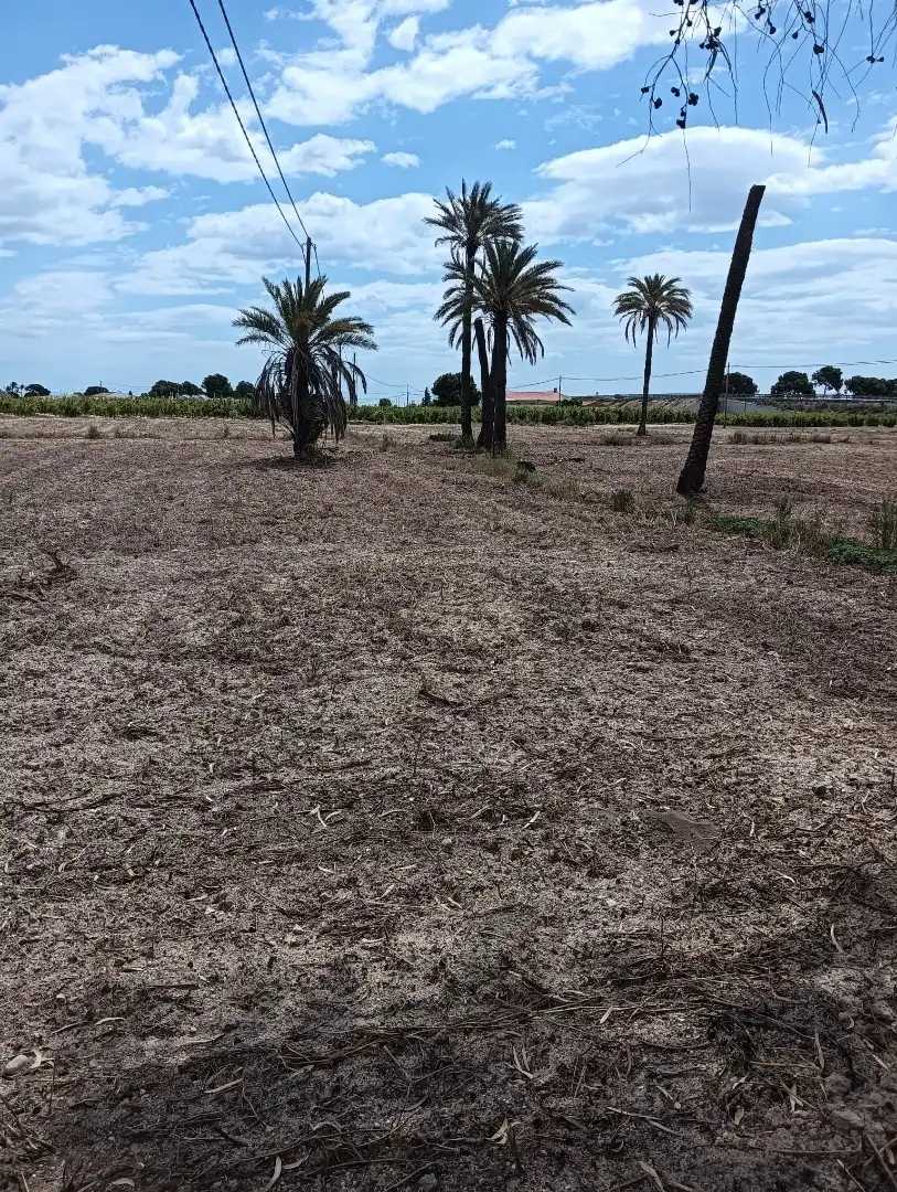 Terreno en venta en Elche / Elx