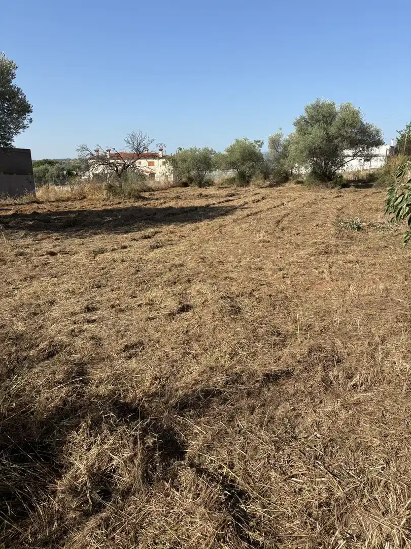 Finca rústica en venda en L'Alcora