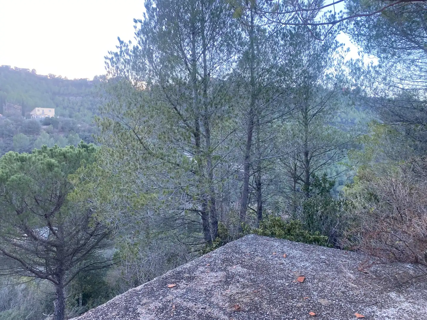 Terreno en venta en Marganell