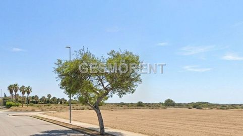 Photo 2 of Residential for sale in Maioris-Puig de Ros, Llucmajor
