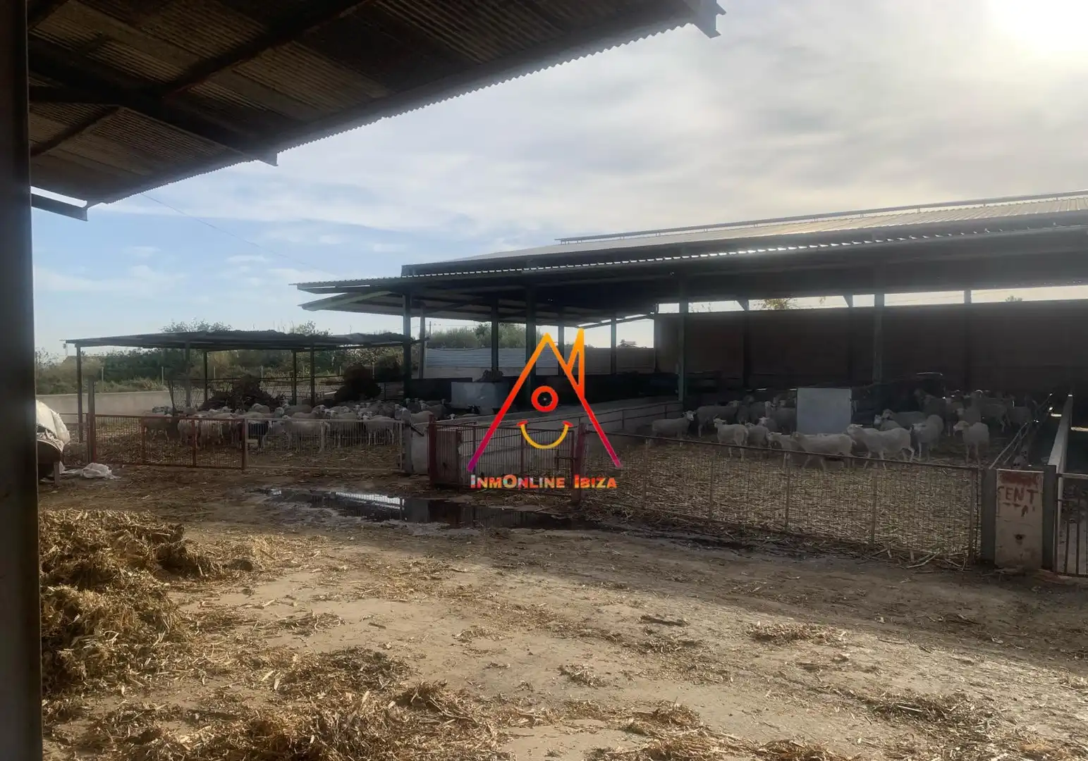 Finca rústica en venta en Crevillent con Jardín privado, Terraza y Piscina