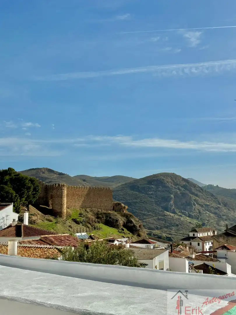 Detached homes for sale in Casco Histórico