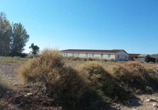 Terreno residencial en Venta en Pertusa