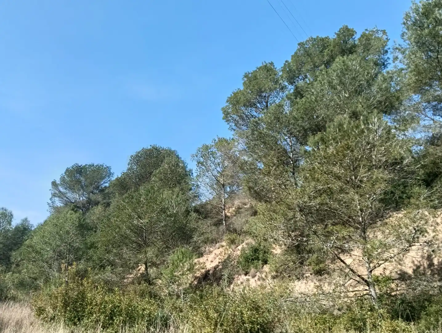 Residencial en venda en Cunit