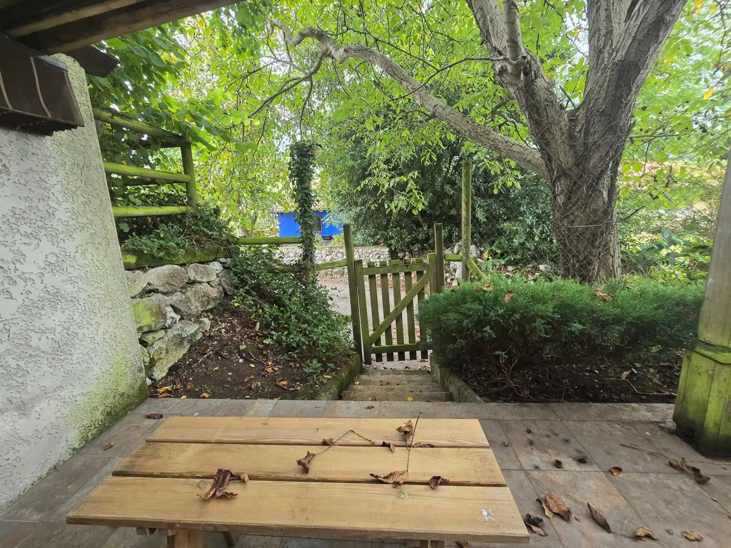 Maison avec jardin à vendre à Posada - Barro, imagen 17