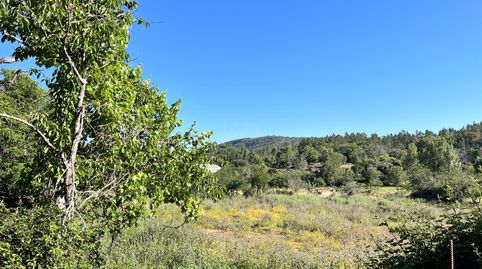 Foto 4 von Residential zum Verkauf in Carretera Hv Hv-3113, Hv-31, Fuenteheridos, Huelva