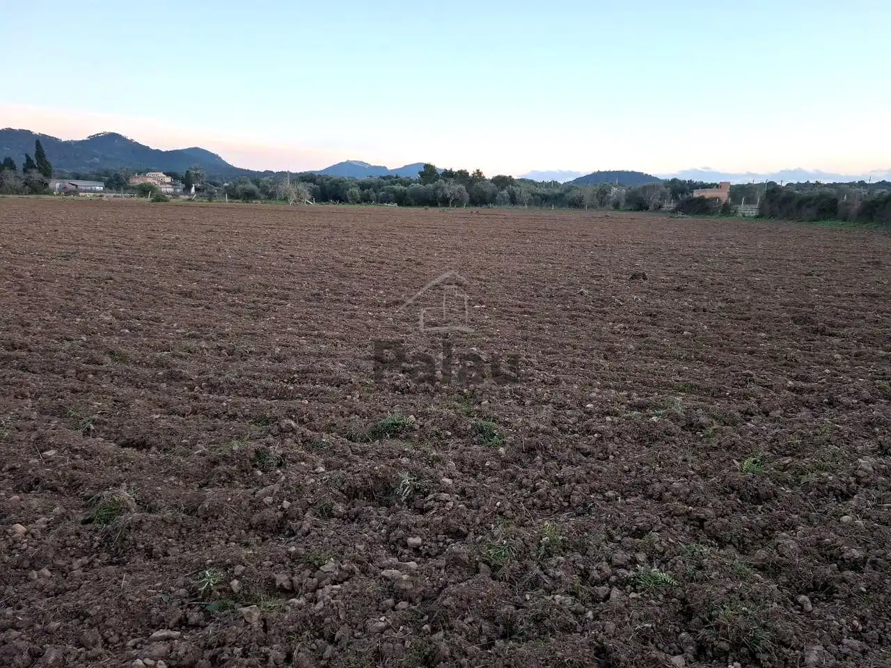 Rustikales Grundstück zum Verkauf in Felanitx Poble, imagen 5