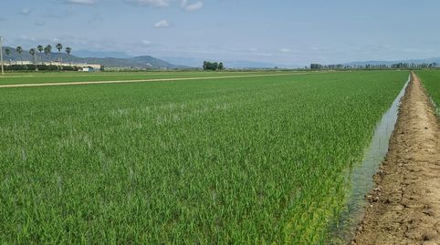 Photo 3 of Land for sale in la Ràpita, Centre, La Ràpita