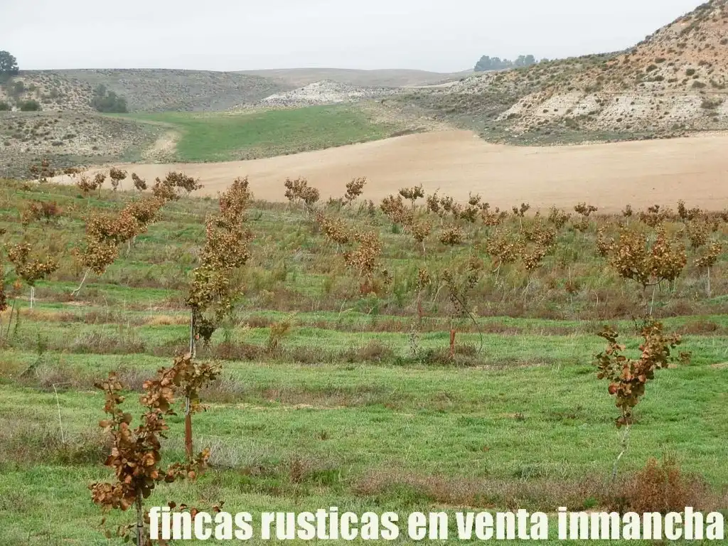 Terreni e lotti in vendita a Huete, imagen 28