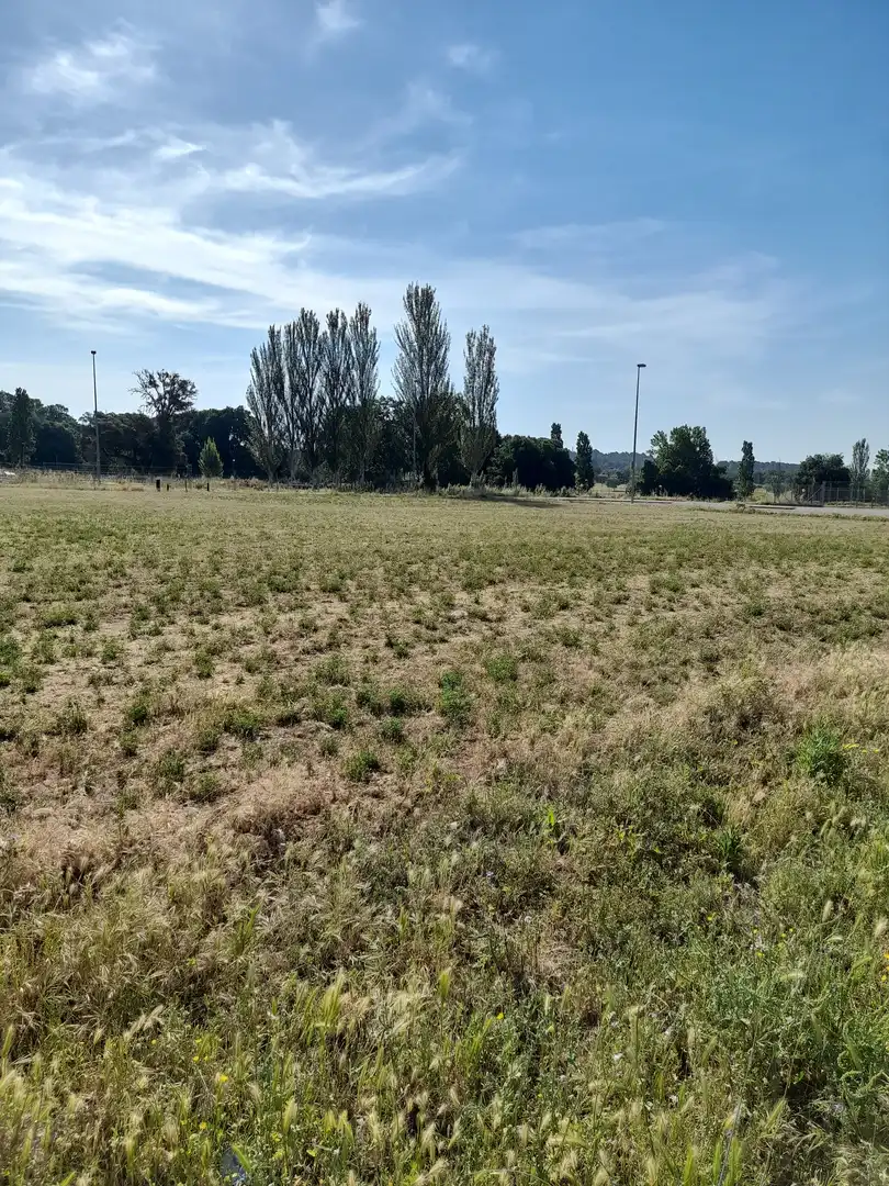 Terreny industrial de lloguer a Can Illa