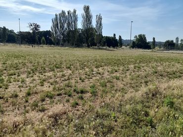 Industrial land to rent in Can Illa