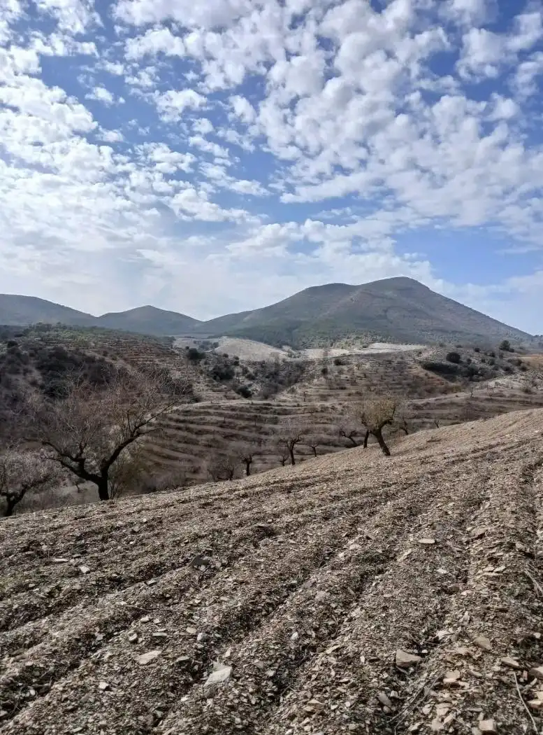 Terreny rústic en venda a Puerto Lumbreras, imagen 23