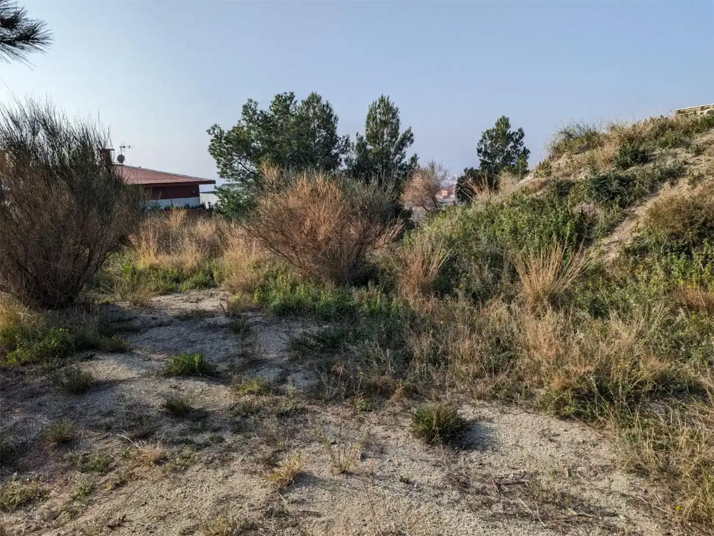 Terreno en venta en Califòrnia - Santa Madrona  