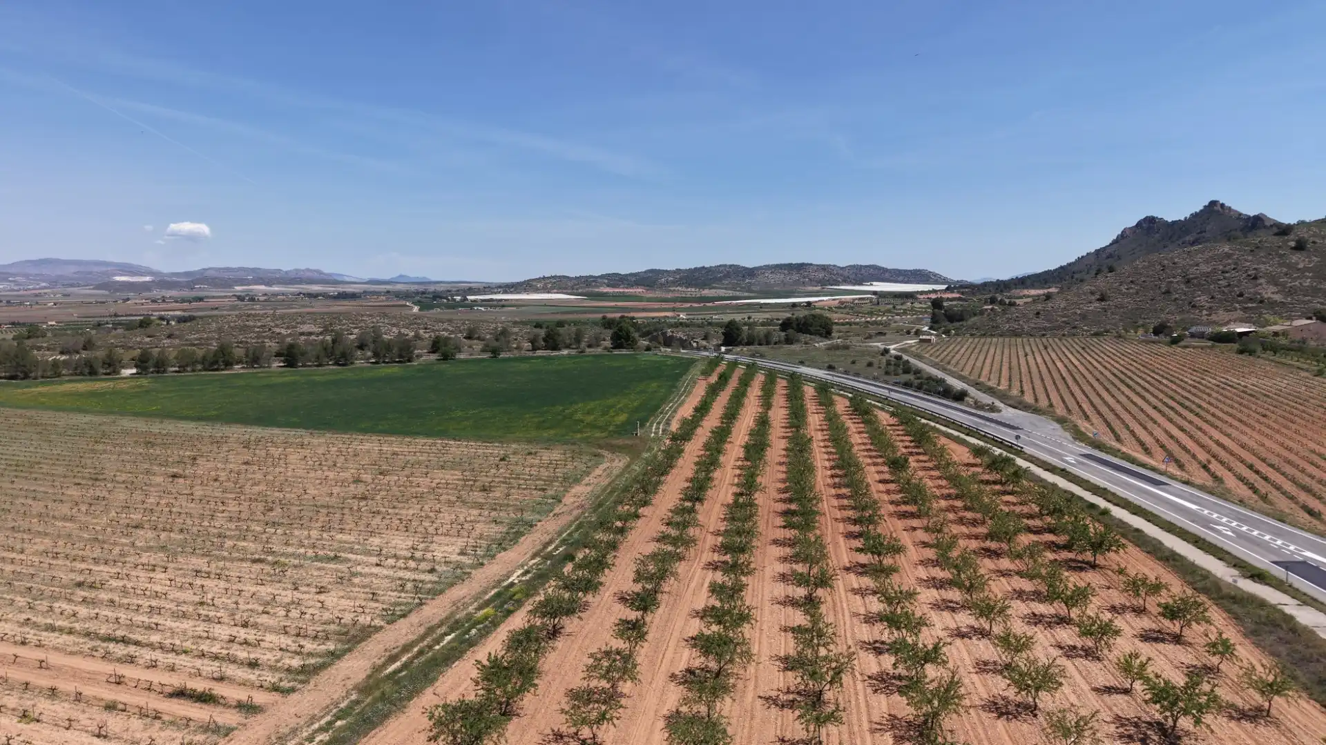 Residential land for sale in Yecla, imagen 3