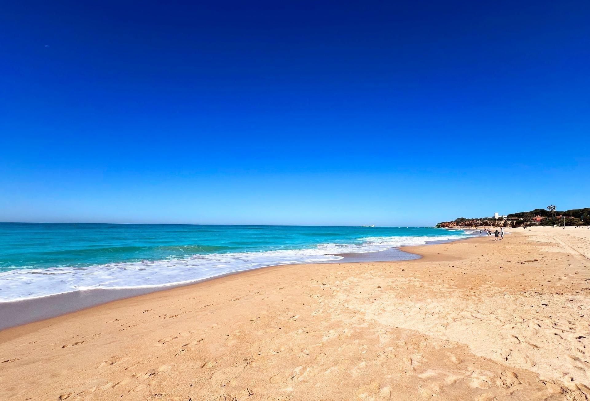 Vista exterior de Casa o xalet en venda en Chiclana de la Frontera amb Jardí privat, Terrassa i Traster