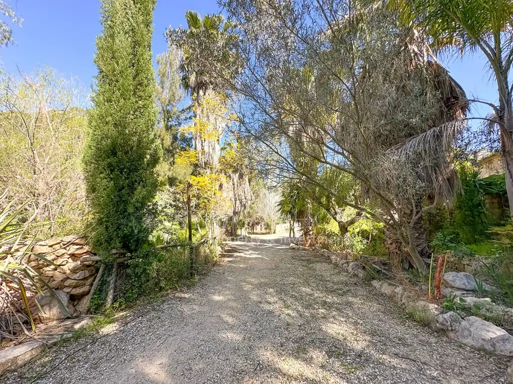 Maison à vendre à Poligono 3 Paraje 81 Pla De L'Horta, imagen 66