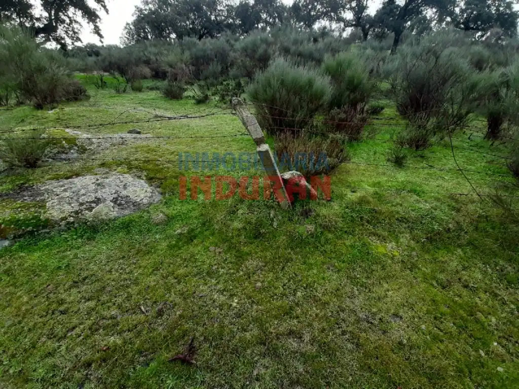 Finca rústica en venta en Millanes