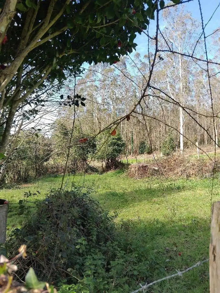 Finca rústica en venta en Cerdido con Jardín privado