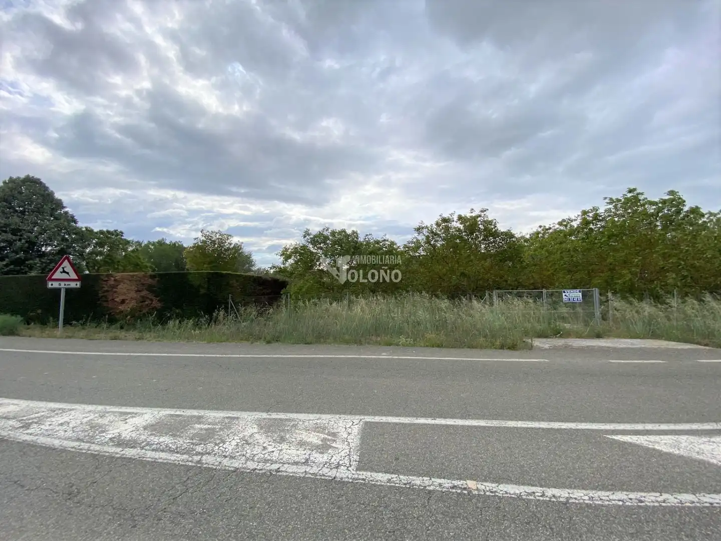 Lands and plots for sale in Calle Río 65, imagen 3