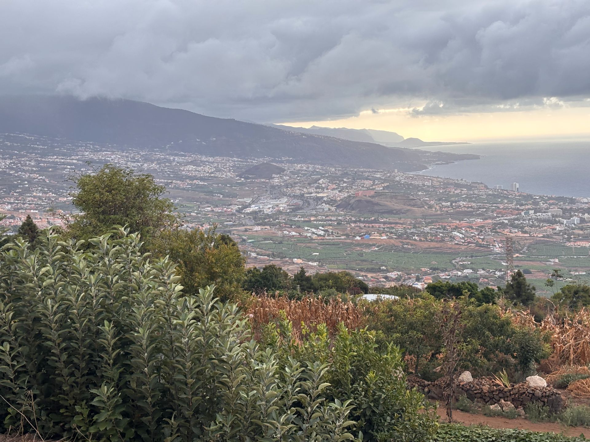Exterior view of Land for sale in Santa Úrsula