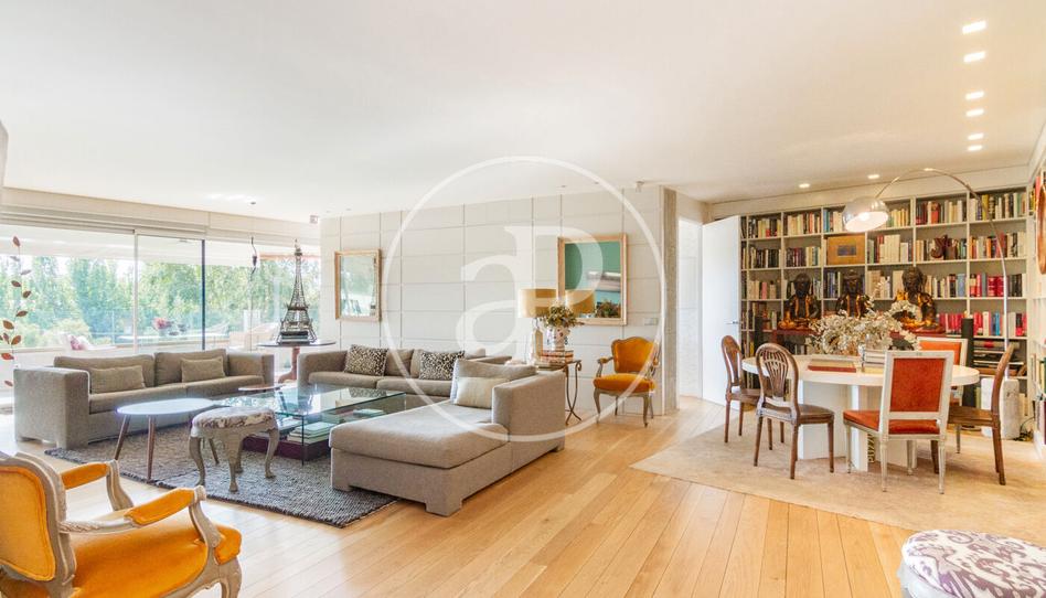 Photo 1 of Flat to rent in C. de la Dalia, El Soto de la Moraleja, Madrid