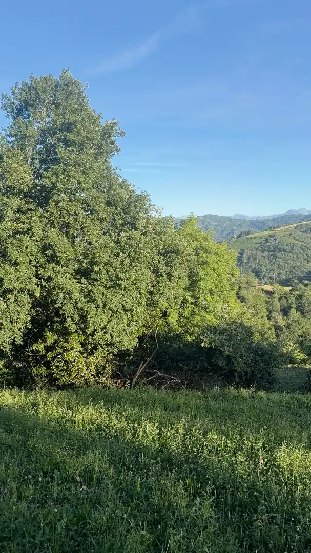 Residencial en venda en Bimenes