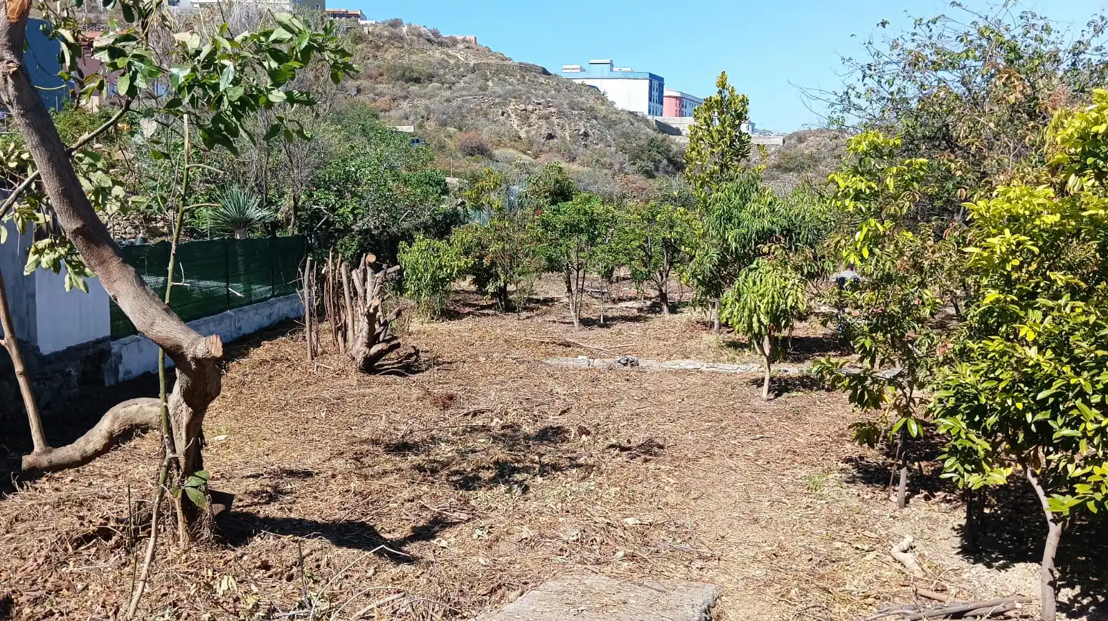 Rural land for sale in San Felipe - San Marcos - Las Cañas, imagen 25