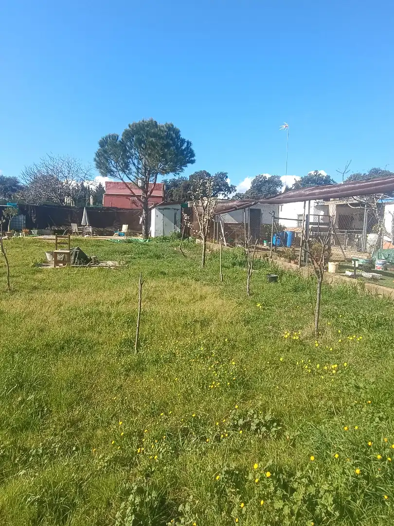 Terreni e lotti in vendita a Castilblanco de los Arroyos, imagen 4