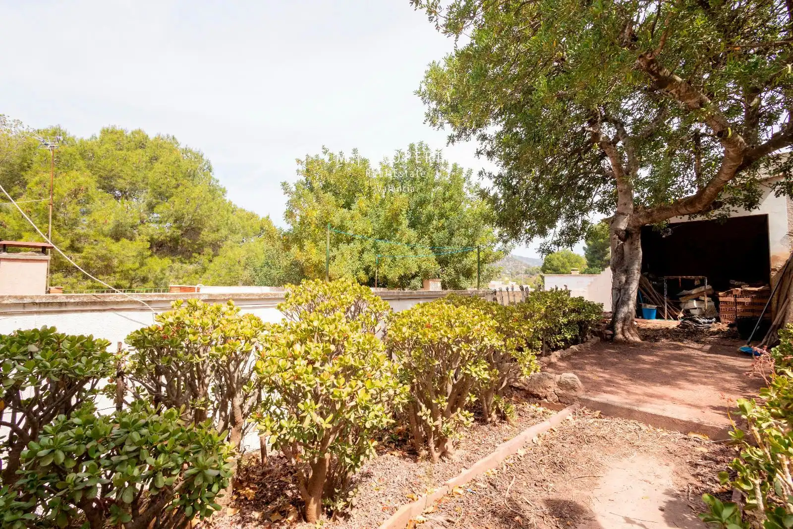 Jardín de Casa o chalet en venta en Náquera con Aire acondicionado, Terraza y Piscina