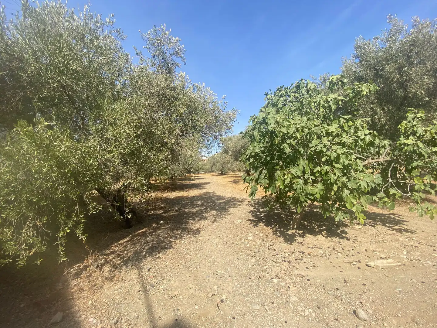 Residencial en venda en Málaga