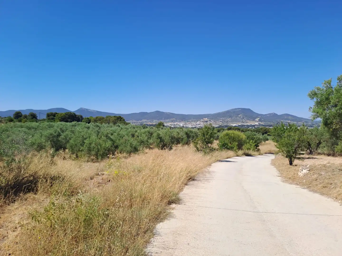 Grundstücke zum Verkauf in Onil