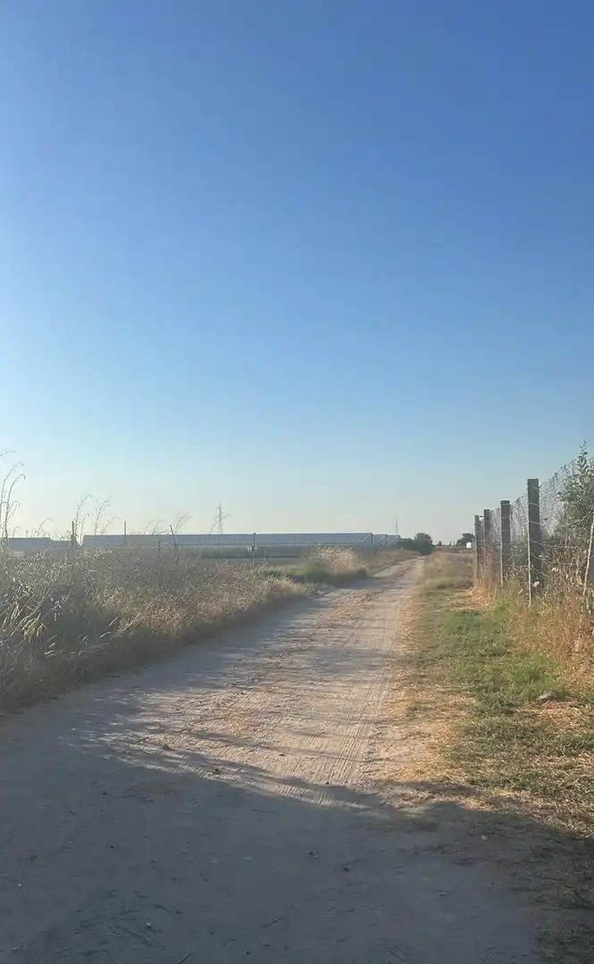 Finca rústica en venda en Los Palacios y Villafranca