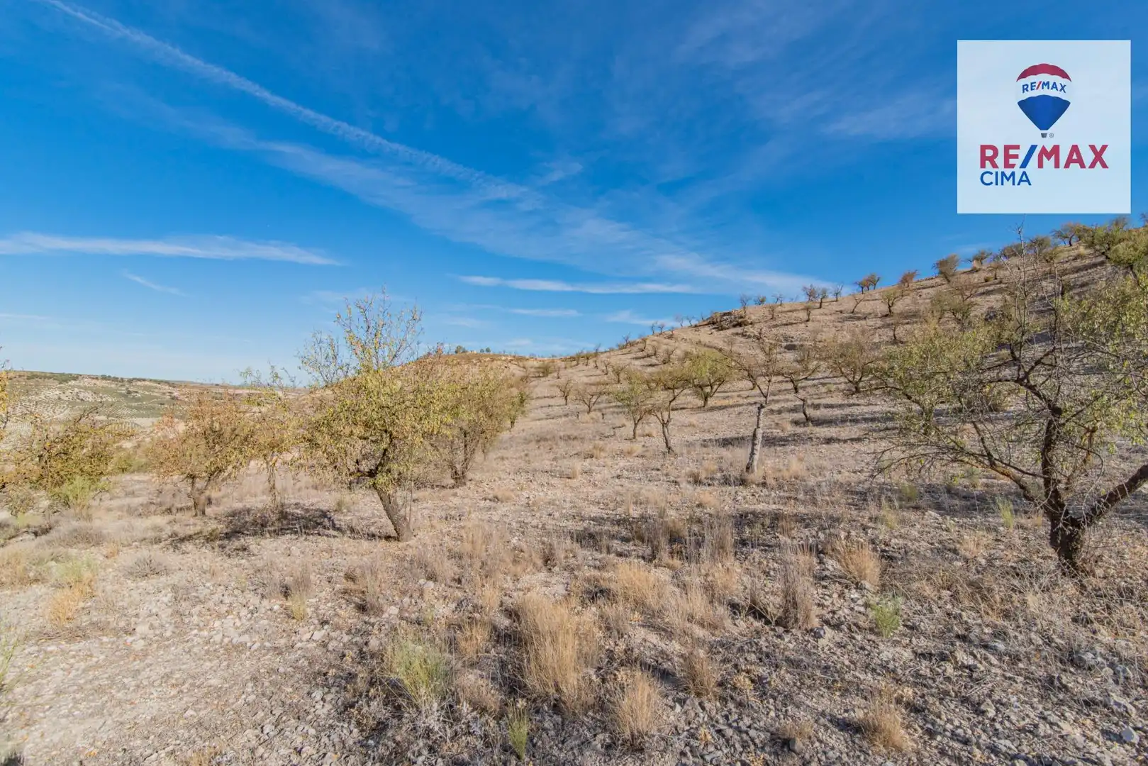 Terreno en venta en Santa Cruz del Comercio