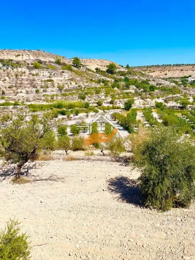 Lands and plots for sale in Vélez-Blanco, imagen 4