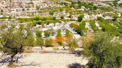 Terreno Rústico en venta en VélezBlanco., immagine 4