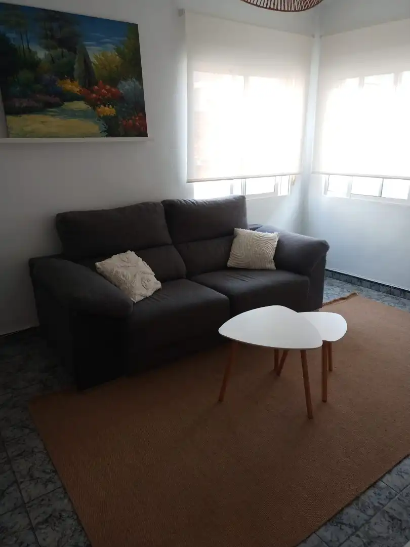 Living room of Flat for rent in Elche / Elx  with Terrace and Furnished