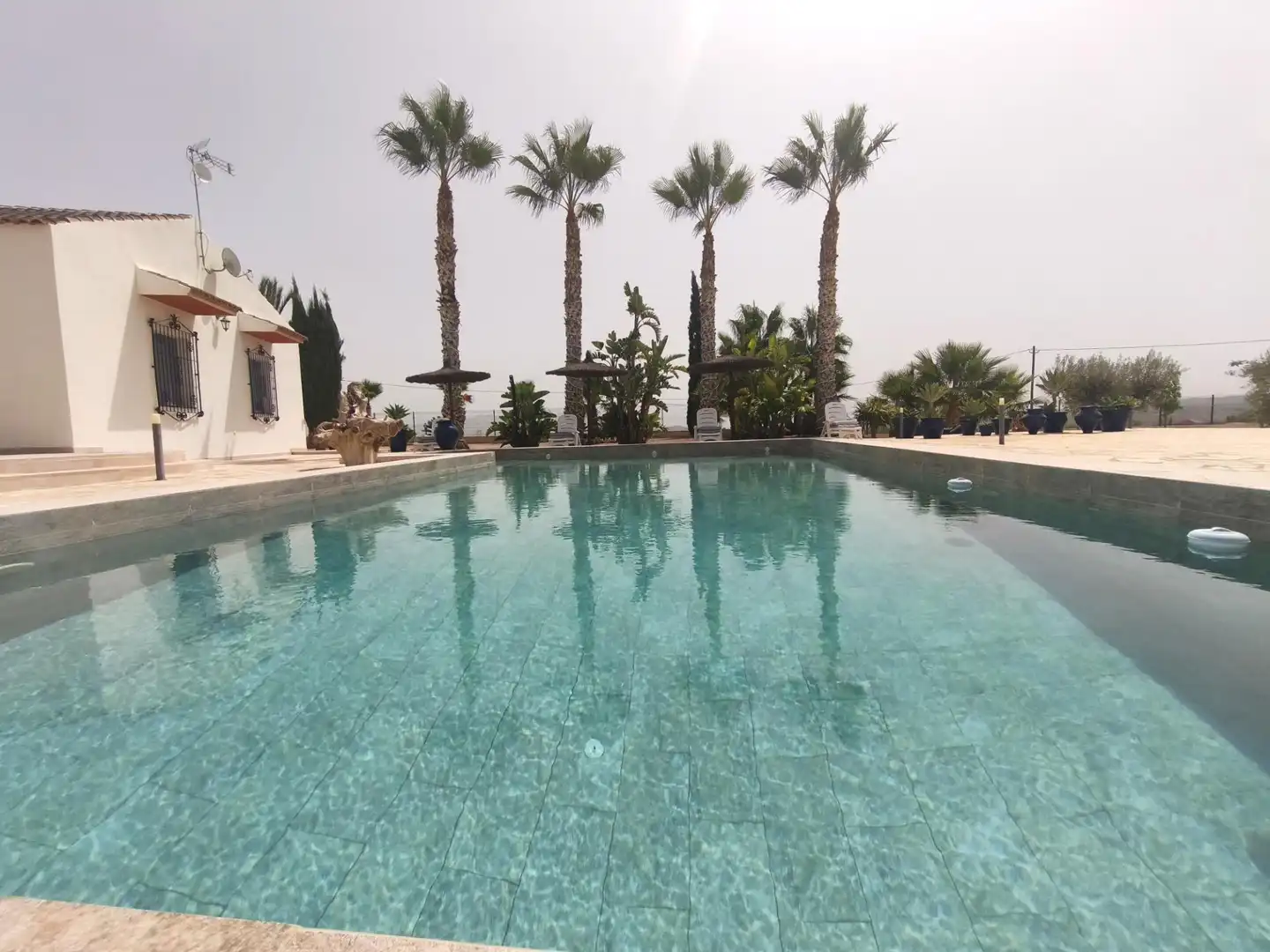 Piscina de Casa o chalet en venta en Molina de Segura