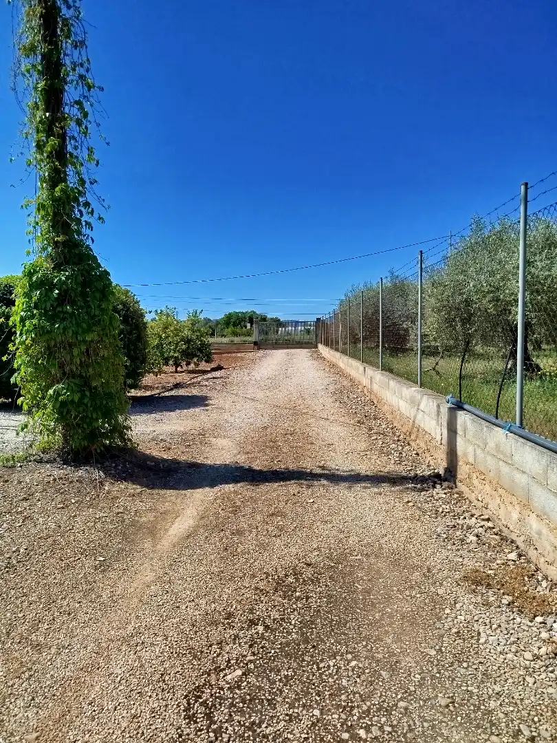 Terreno residencial en venta en Pueblo, imagen 4