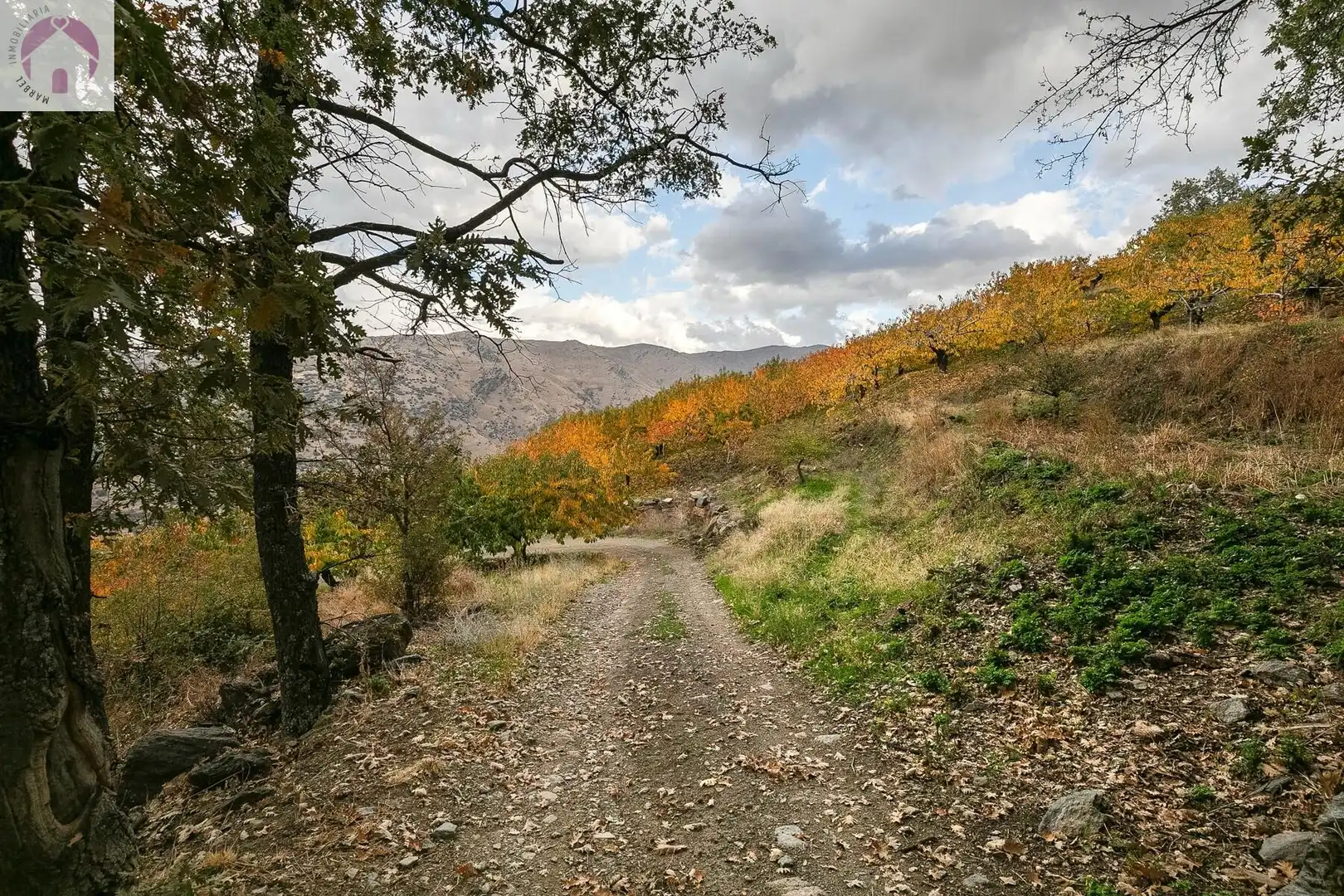 Lands and plots for sale in Güéjar Sierra, imagen 12
