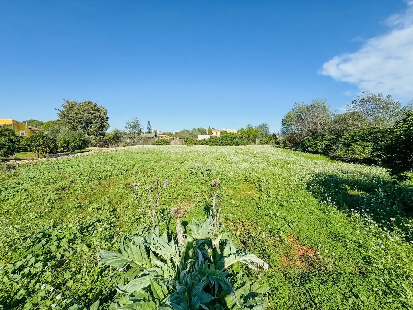 Villa mit Garten zum Verkauf in La Xara - La Sella, imagen 11