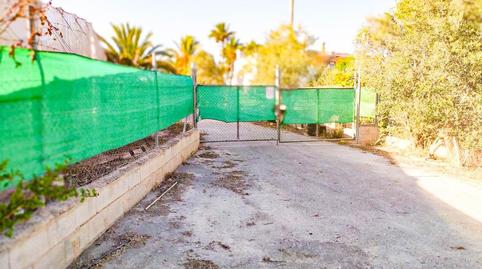 Foto 4 de Finca rústica en venda a Partida Elche, Centro, Alicante