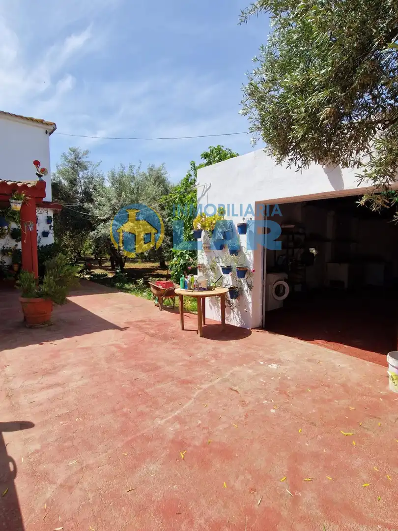 Jardín de Casa o chalet en venta en Trigueros