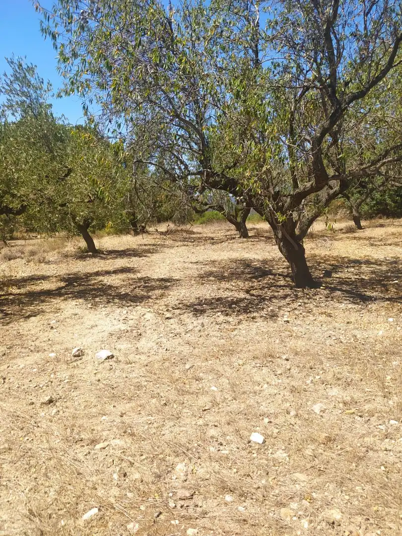 Terreno rustico in vendita a Riudecanyes, imagen 3
