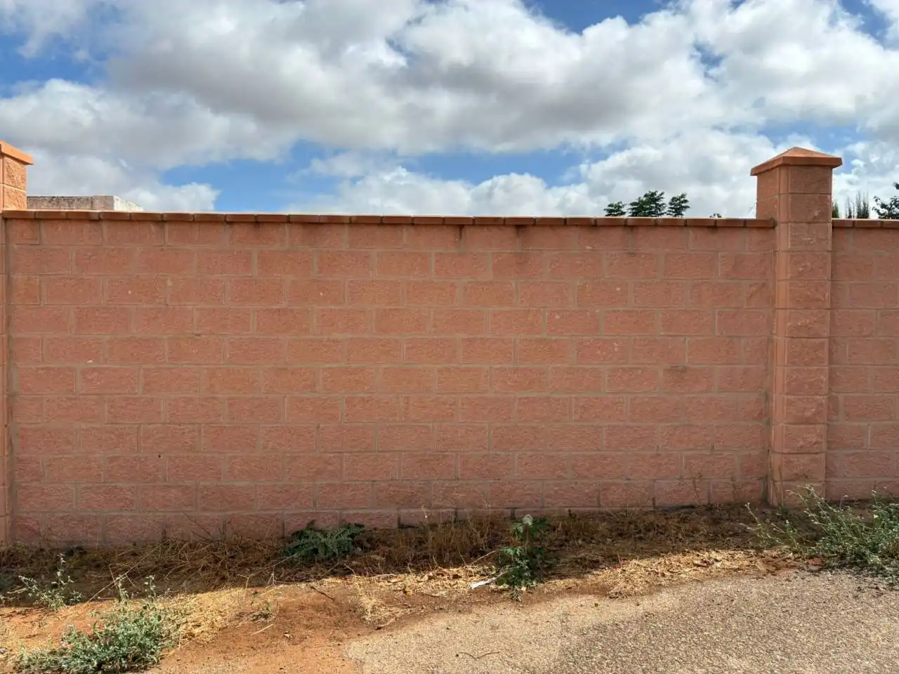 Villa avec jardin à vendre à Urbanizacion LOS FRUTALES, imagen 23