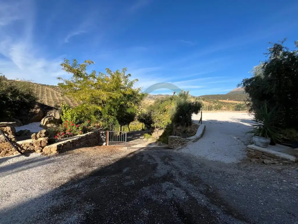 Vista exterior de Finca rústica de lloguer en Ronda