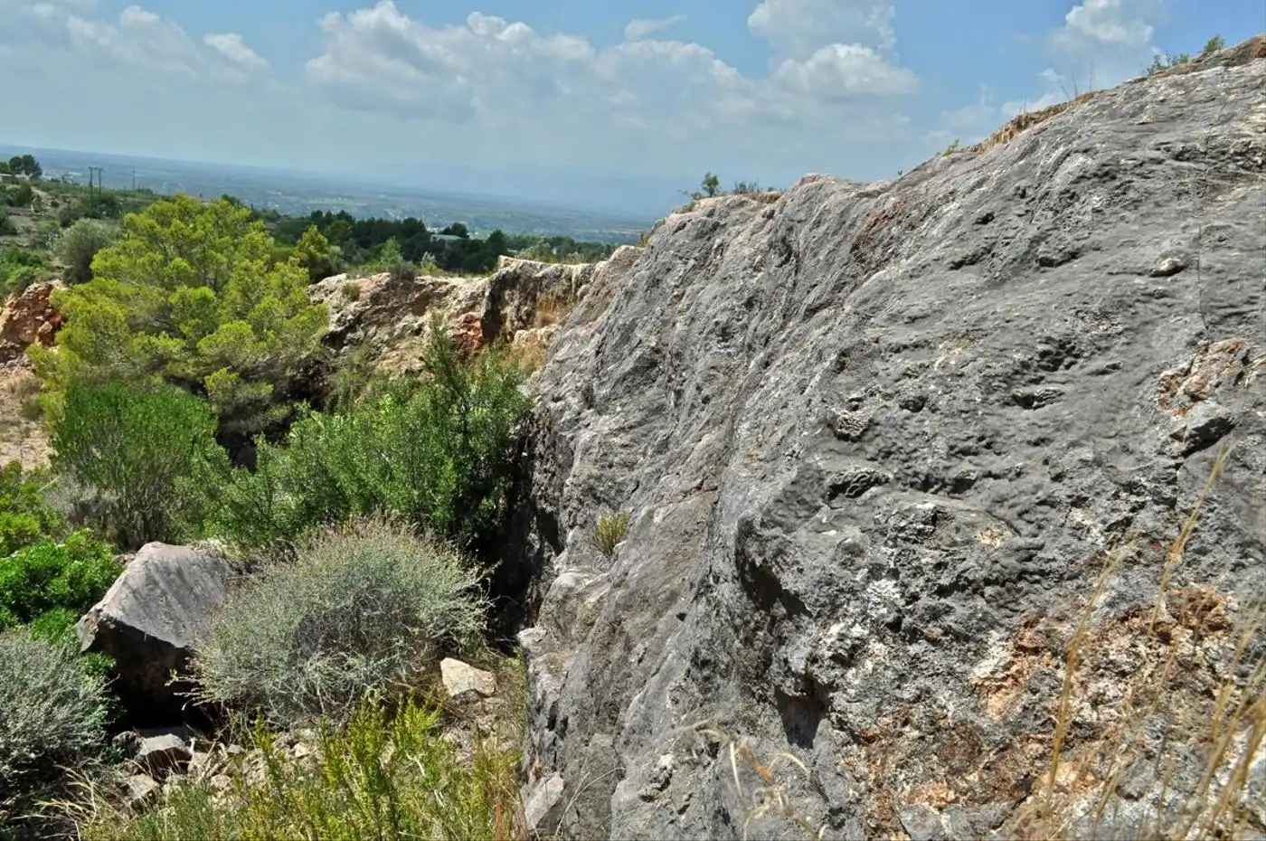 Land for sale in Camí del Barranc de la Llet, 26, Sant Llàtzer