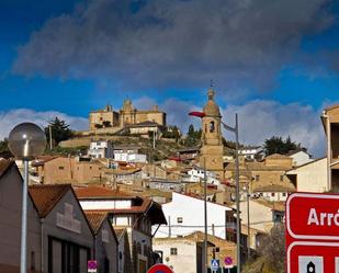 Exterior view of Residential for sale in Arróniz