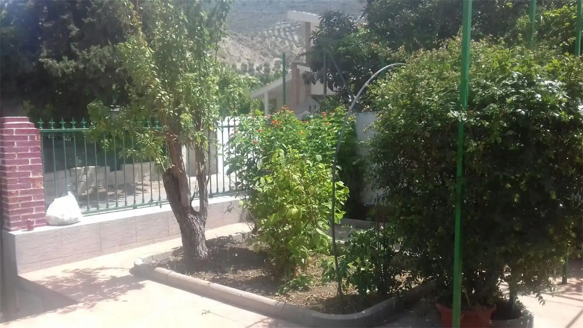 Jardí de Casa o xalet en venda en Pegalajar, Jaén