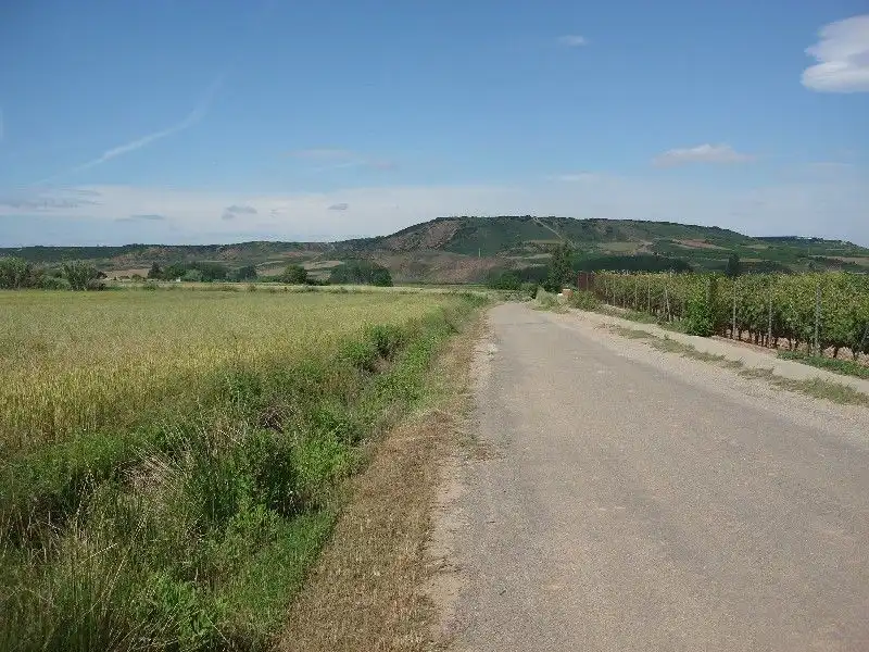 Terreny rústic en venda a Villamediana de Iregua, imagen 4