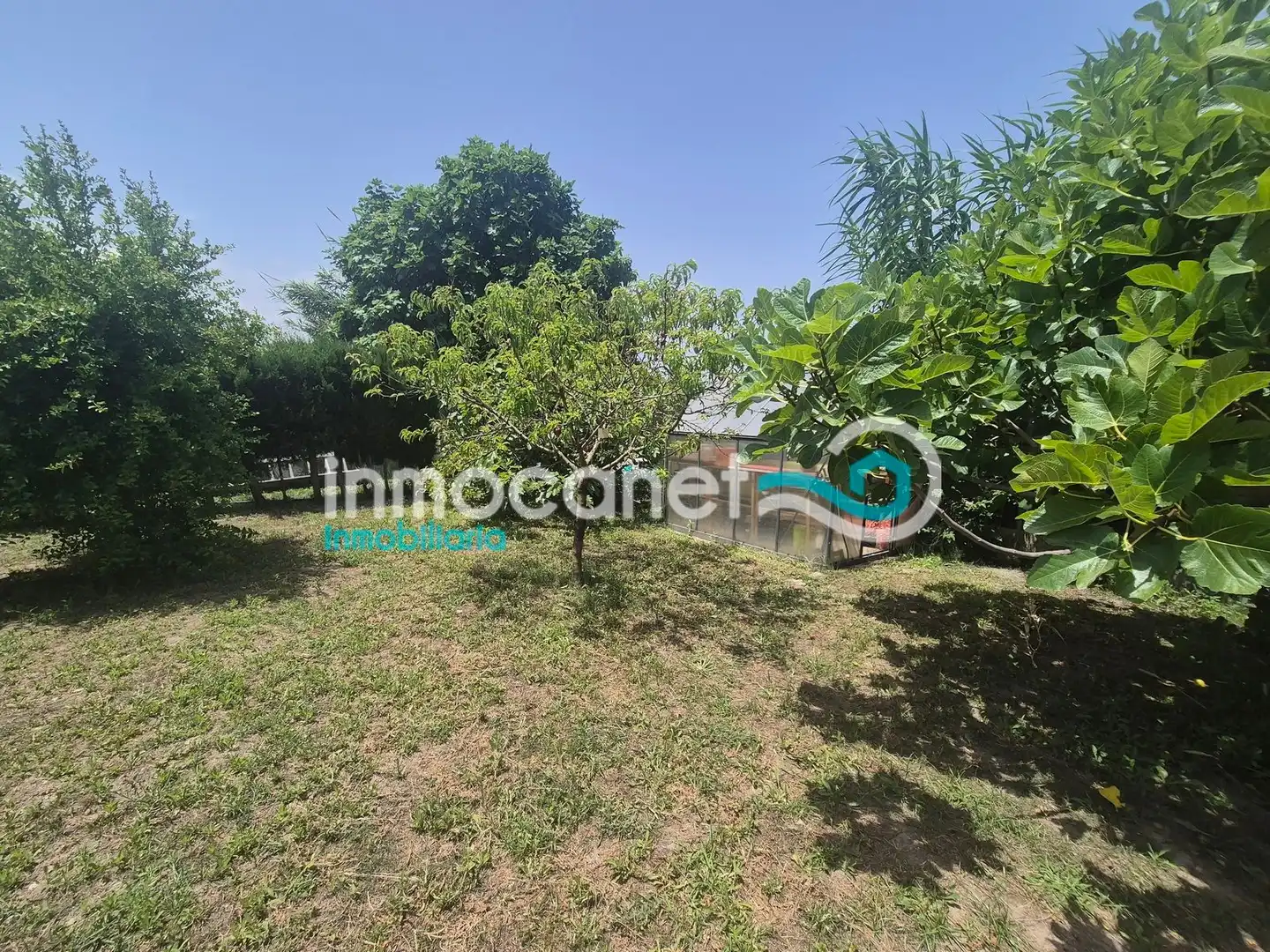 Finca rústica en venta en Oliva con Jardín privado, Terraza y Trastero